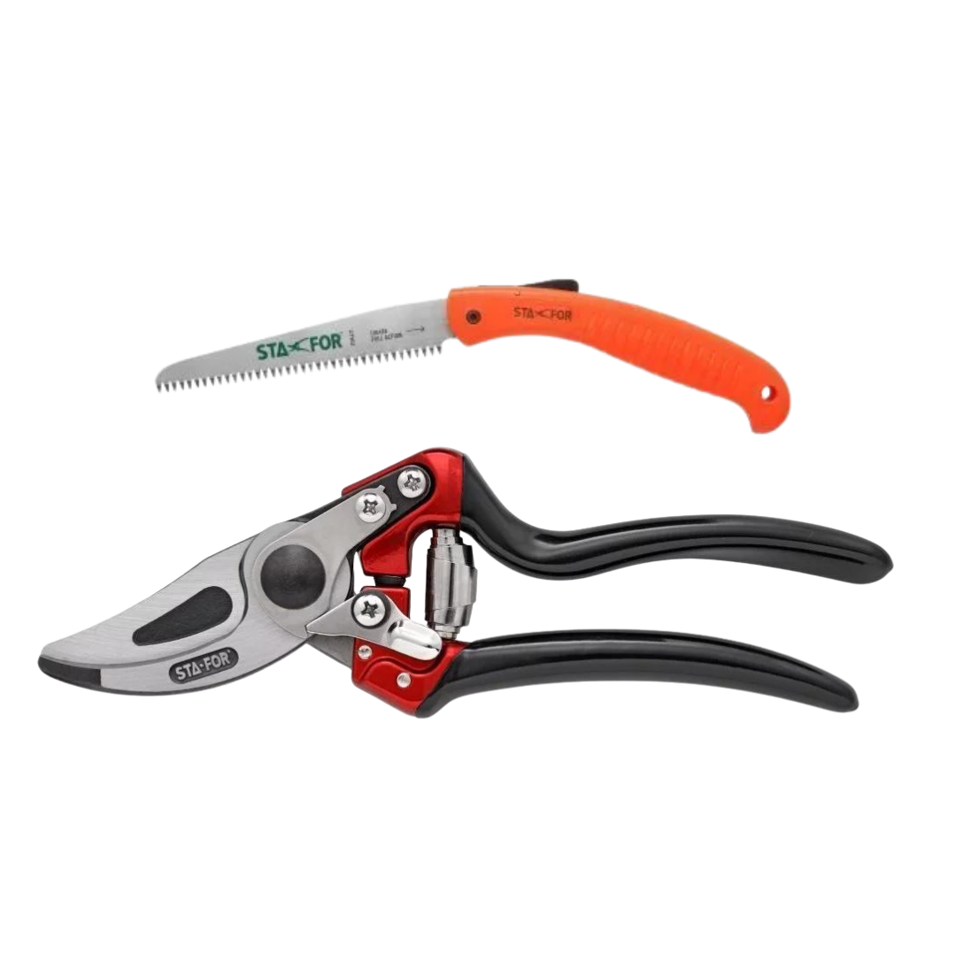 Pack de podador profissional com tesoura em aaluminio forjado e serrote