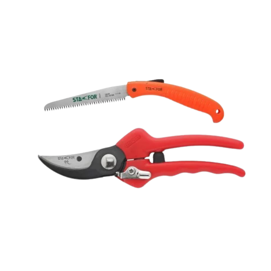 Pack de poda profissional com tesoura e serrote