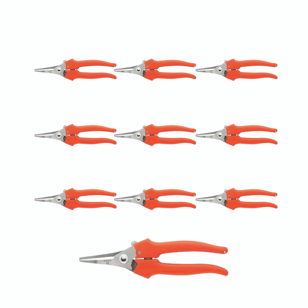 Pack de 10 tesouras de vindima Stafor modelo 830